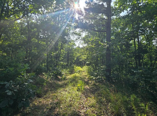 Buffalo Mtn Rd, Talihina, OK 74571