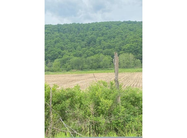 State Route 34, Lockwood, NY 14859