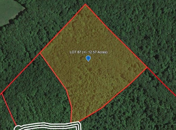 290 EAGLE'S NEST RIDGE, BRAGG, WV 25918