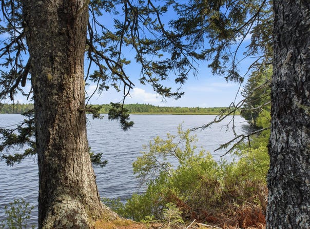 Sunrise Way lot: #10, Whiting, ME 04691