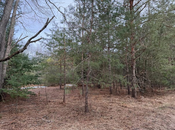 Pihl Road, Kaleva, MI 49645