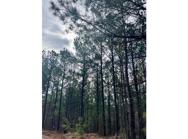 777 Timber Creek Trails S XI, Broken Bow, OK 74728