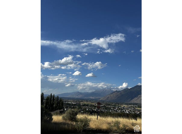 3217 E HAWK DR. S, Spanish Fork, UT 84660