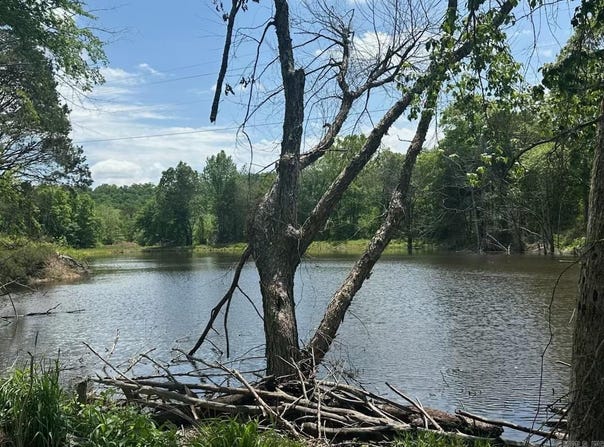 195 Old Springfield Dr, Quitman, AR 72131