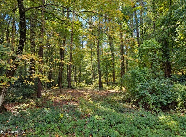 MA-41 lot: 3, Richmond, MA 01254