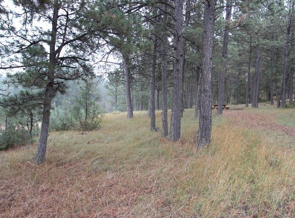 26757 Buffalo Butte Drive, Hot Springs, SD 57747
