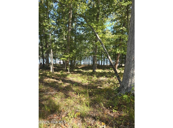 Nautical Point, Lincolnton, GA 30817