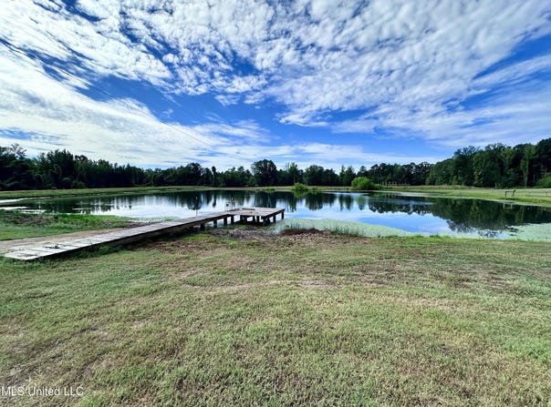 609 Co Rd 333, McCarley, MS 38943