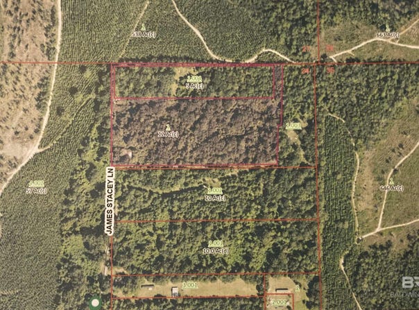 35900 James Stacey Lane, Stapleton, AL 36578