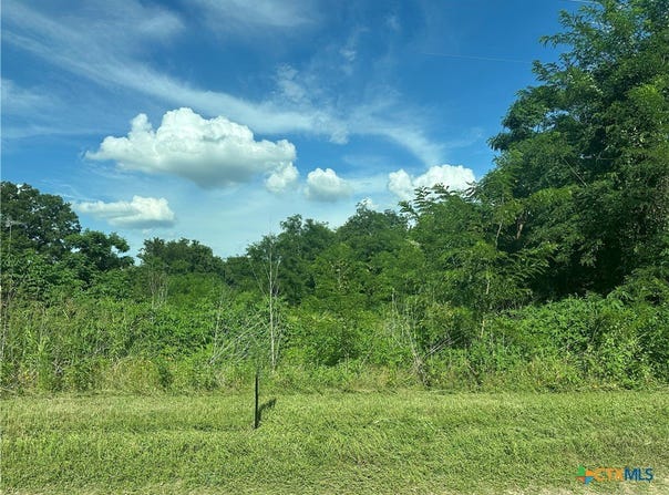 County Road 287, Marlin, TX 76661