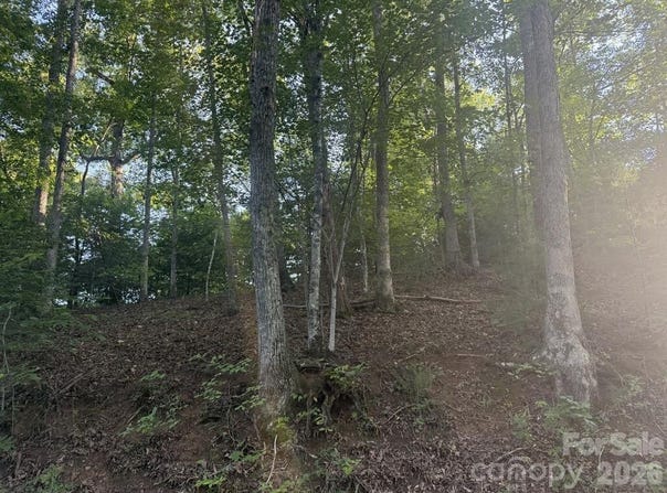 Canterbury Road, Cullowhee, NC 28723
