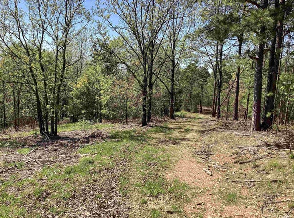 TBD Tract 8 Chaparral Lane, Mena, AR 71953