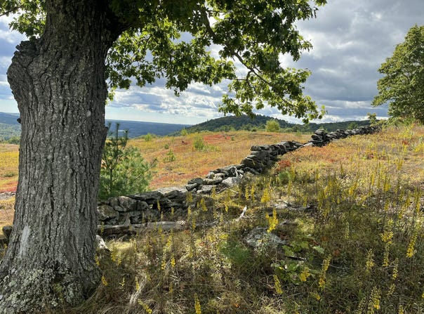 Heart Oak Lane, Union, ME 04862