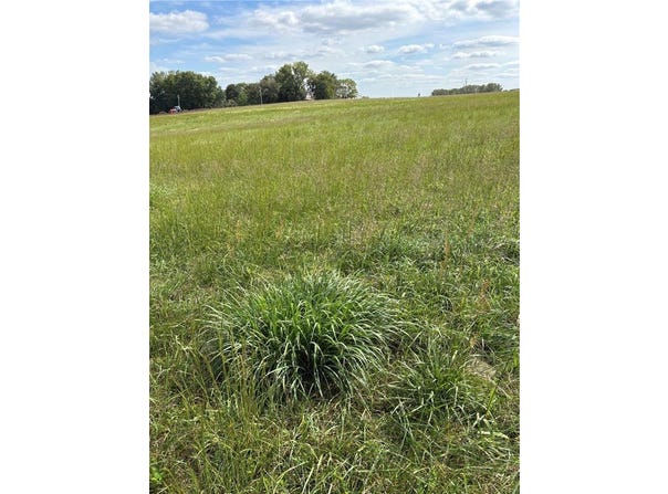 Bauserman Road, Easton, KS 66020