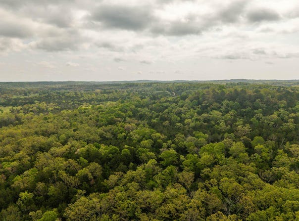 4 Little Woods Road, Elizabeth, AR 72531