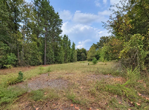 Ferguson Road, Harleton, TX 75651