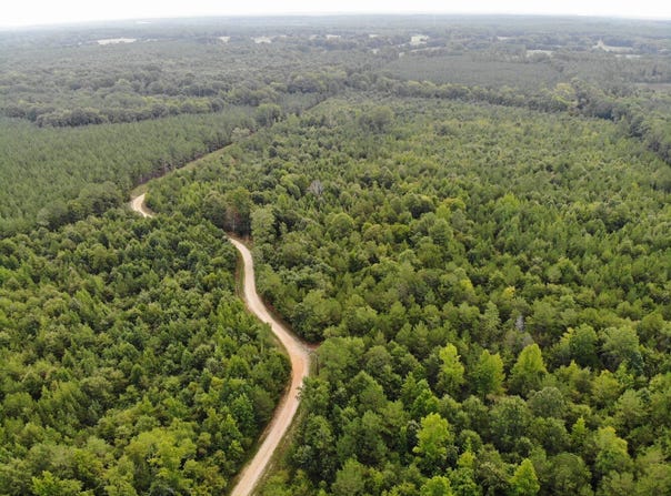 Chenault Drive, Tract C, Saluda, SC 29138