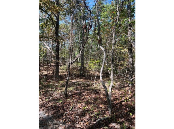 GERTIES LN, STUARTS DRAFT, VA 24477