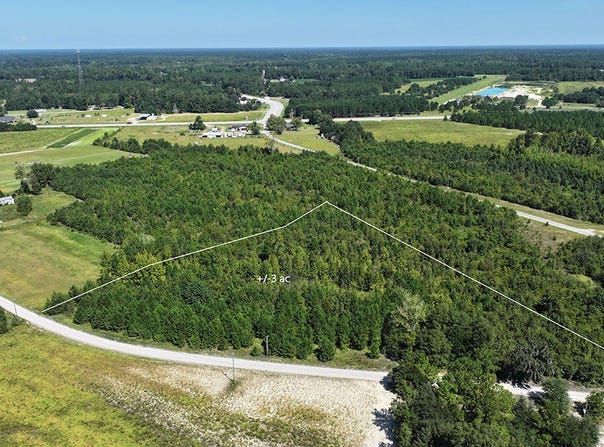 206 Bethany Rd, Johnsonville, SC 29555
