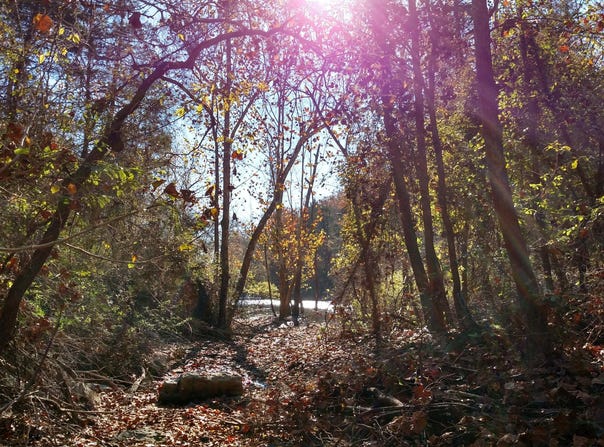 Buttermilk Spring Road, Galena, MO 65656