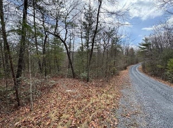 FETTERBUSH LN lot: 45, HINTON, VA 22831