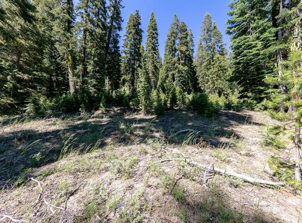 Parcel 2, Little Norway, CA 95735