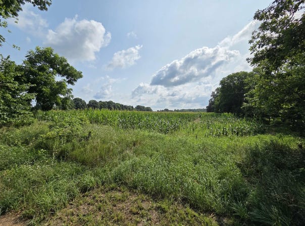 13 Mile Rd (parcel 5), Burlington, MI 49029