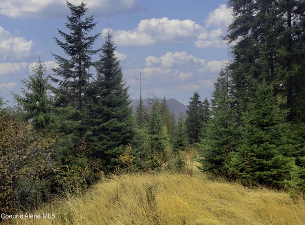 NKA White Cloud Dr, Sandpoint, ID 83864
