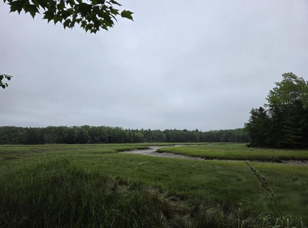 Poplar Lane lot: 175, Milbridge, ME 04658