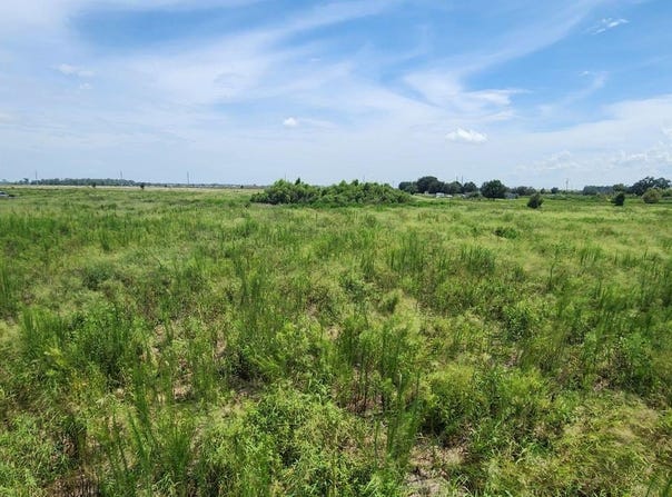 WEITA Road, BARTOW, FL 33830