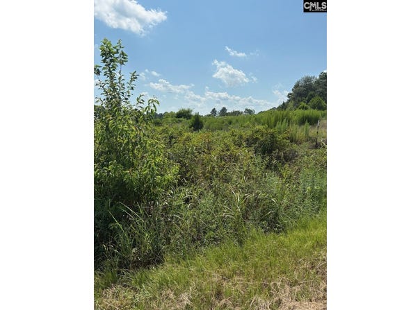 1153 W Hampton Road, Leesville, SC 29070