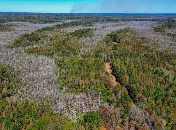 Hwy 14 E, Selma, AL 36701