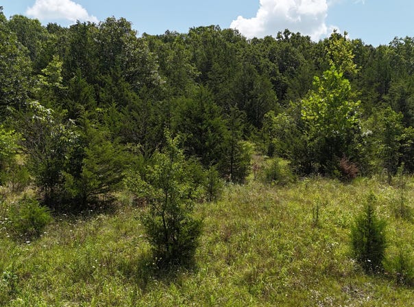 Mills Valley Boulevard, Marshfield, MO 65706