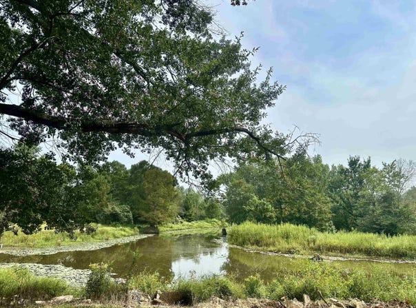 1950 S Amity Road, Conway, AR 72032