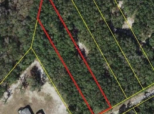 RIM ROCK, WEBSTER, FL 33597