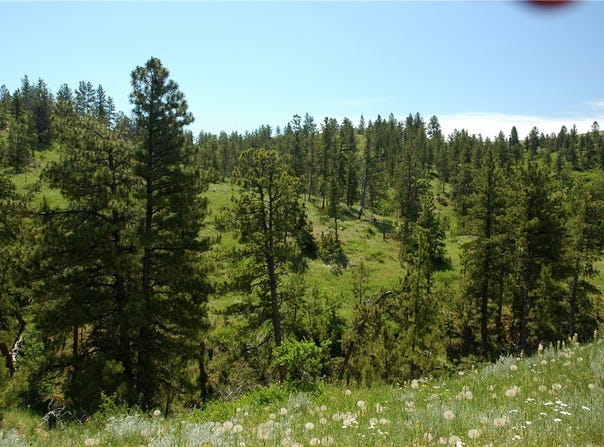NHN Lone Rock Canyon, Hysham, MT 59038