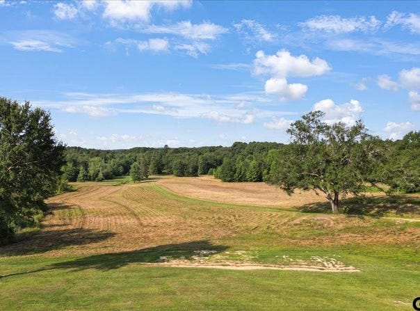 32 Acres S Live Oak Rd, Gilmer, TX 75644