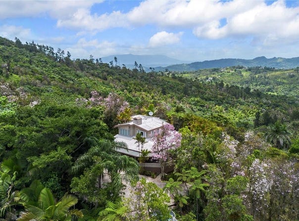 Pr-184 GUAVATE, CAYEY, 00736