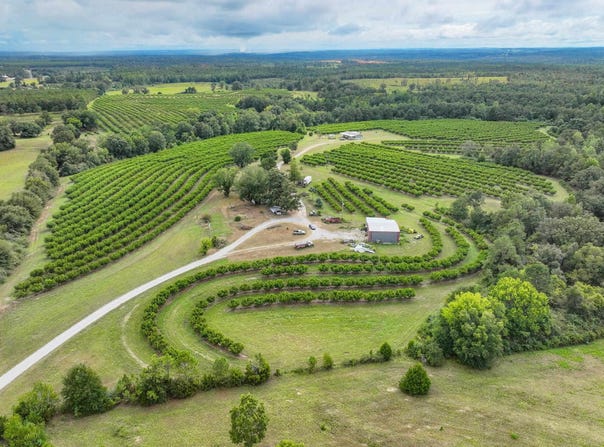 13610 COUNTY ROAD 37, CLANTON, AL 35045