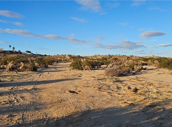 Nicolson, 29 Palms, CA 92277