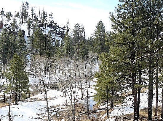 3369 Windy Lane, Heber, AZ 85928