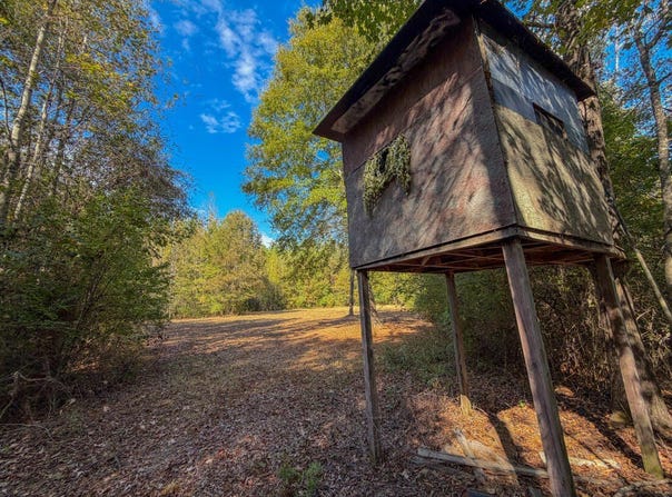 Hwy 14, Selma, AL 36701