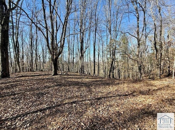 Lackey Rd, Collinsville, VA 24078