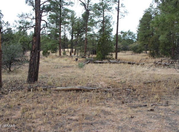 004U Elk Trail, Show Low, AZ 85901