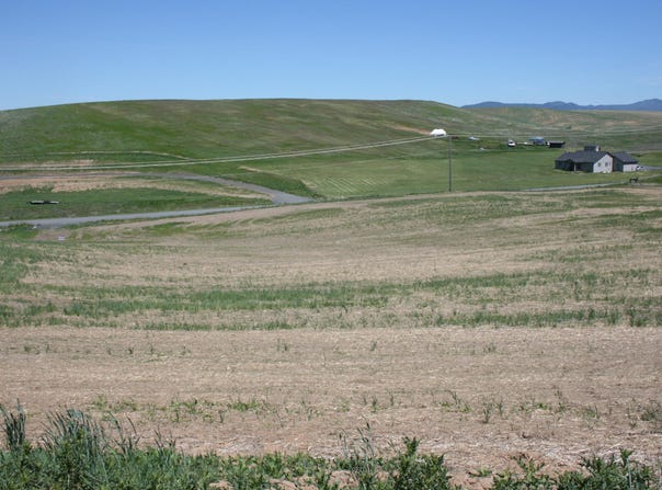 1491 Orville Boyd Road, Pullman, WA 99163