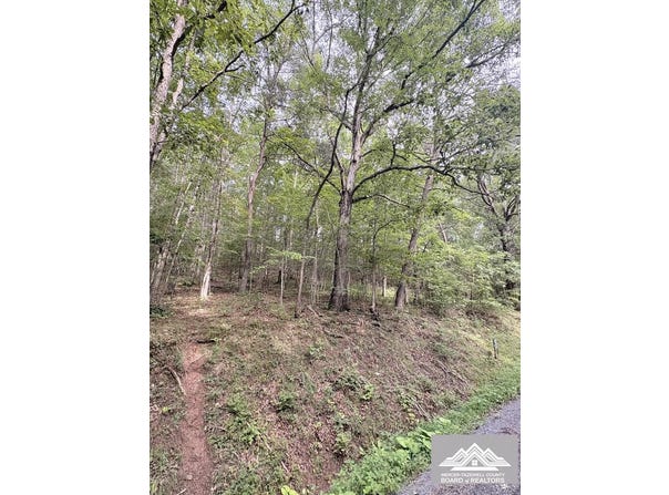 W Clayton Rd, TALCOTT, WV 24981