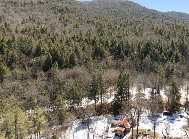 206 Smith Road, Jamaica, VT 05343