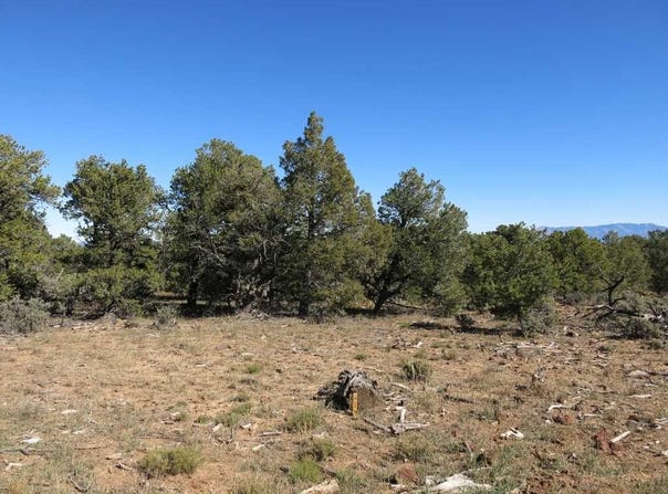 Servilleta Lot 41, Tres Piedras, NM 87577