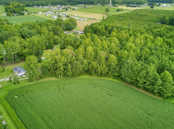 Brame Road, Kenly, NC 27542