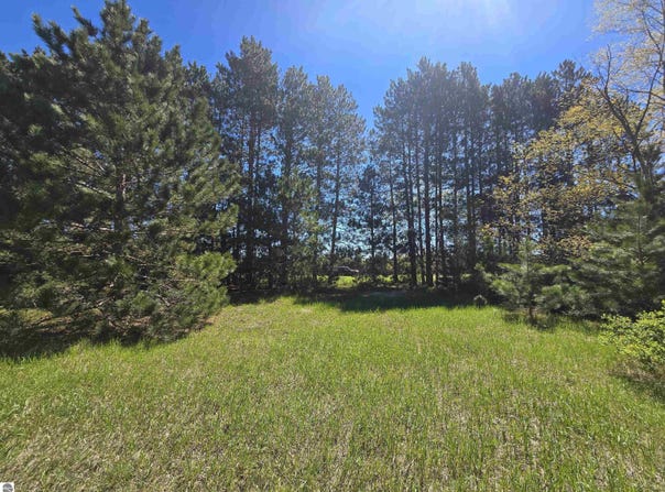 N 3 Road, Mesick, MI 49668